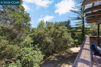 Tucked among the trees in the highly sought-after Orinda Woods - photo 33