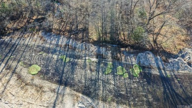 Situated on the banks of the beautiful, clear Caddo River, this - photo 6