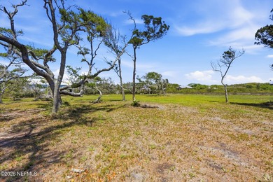 This peninsula property is just under an acre and sits at the - photo 36