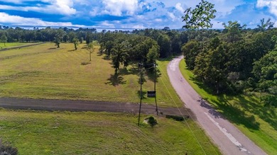 Own Your Slice of Paradise on Lake Sam Rayburn Welcome to a rare - photo 6