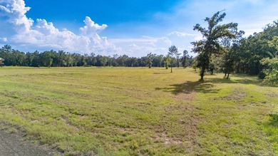 Own Your Slice of Paradise on Lake Sam Rayburn Welcome to a rare - photo 7