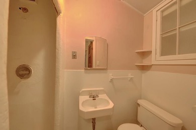 Built in 1920, this historic 2 story home offers 3,011 sqft of - photo 43