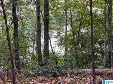 Bankhead Lake Acreage For Sale in Adger Alabama