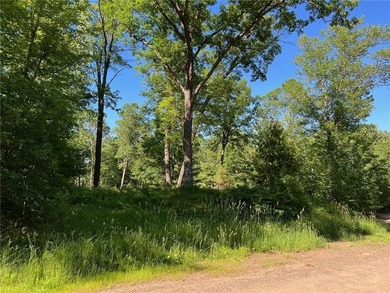 (private lake, pond, creek) Lot For Sale in Webster Wisconsin