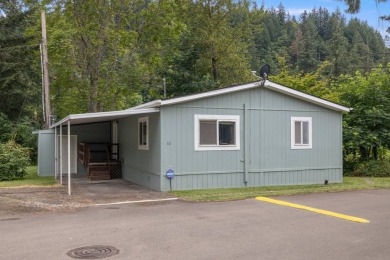 (private lake, pond, creek) Home For Sale in Damascus Oregon