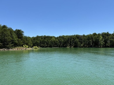 Go off the grid with YOUR OWN PRIVATE ISLAND on beautiful - photo 11