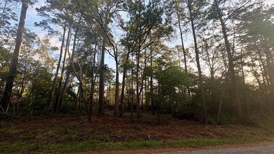 The City of Ivanhoe is located in Tyler County, Texas, and is - photo 3
