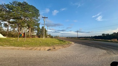 The City of Ivanhoe is located in Tyler County, Texas, and is - photo 5