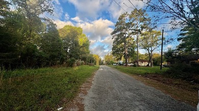 The City of Ivanhoe is located in Tyler County, Texas, and is - photo 6