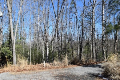 Coosawattee River - Gilmer County Lot Sale Pending in Ellijay Georgia