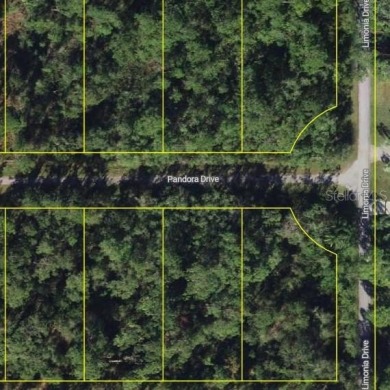Lake Weohyakapka Lot For Sale in Indian Lake Estates Florida