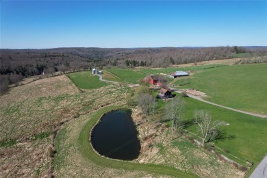 Lake Acreage For Sale in Callicoon, New York