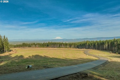 Tucked within a 10-lot rural community, this exceptional - photo 14