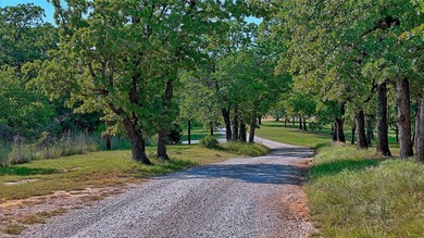 Waterfront acreage located on the west side of Lake Nocona and - photo 16