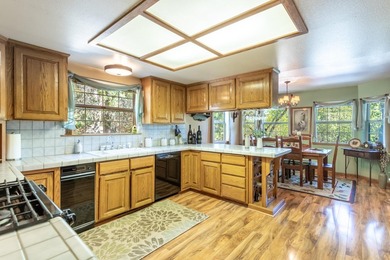Over 4 Acres with an additional 2-car garage and covered RV - photo 16