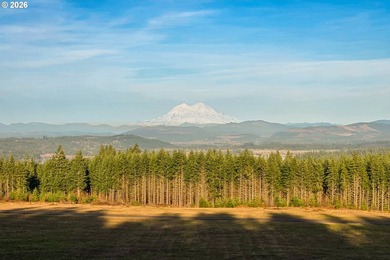 Tucked within a 10-lot rural community, this exceptional - photo 17