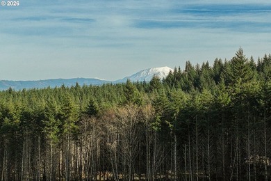 Tucked within a 10-lot rural community, this exceptional - photo 21