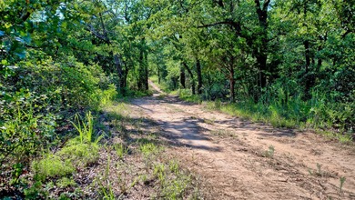Waterfront acreage located on the west side of Lake Nocona and - photo 29