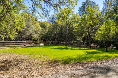 Over 4 Acres with an additional 2-car garage and covered RV - photo 38