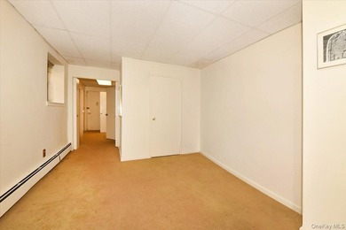 GREAT NECK 11021 - OFFICE or RESIDENTIAL Space!! // Unique co-op - photo 9