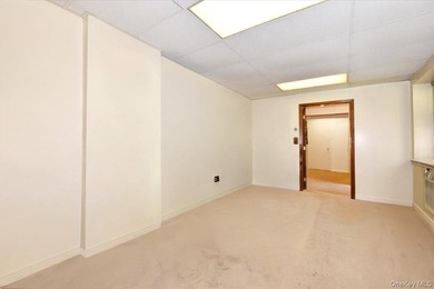 GREAT NECK 11021 - OFFICE or RESIDENTIAL Space!! // Unique co-op - photo 10