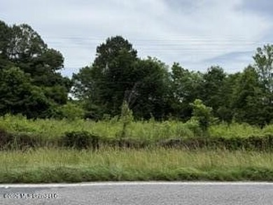 Located along Highway 13, south of Lena in Scott County, this - photo 11