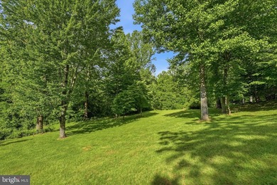Almost 115 Acres in The Plains, Virginia A rare opportunity to - photo 11