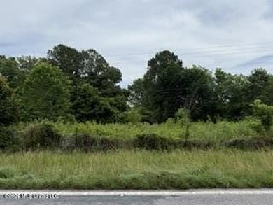 Located along Highway 13, south of Lena in Scott County, this - photo 12