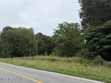 Located along Highway 13, south of Lena in Scott County, this - photo 13