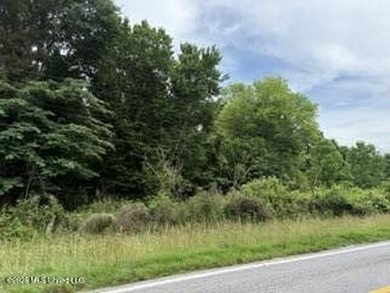 Located along Highway 13, south of Lena in Scott County, this - photo 14