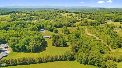 26.4 extraordinary acres with 20+ buildable acres in the heart - photo 7