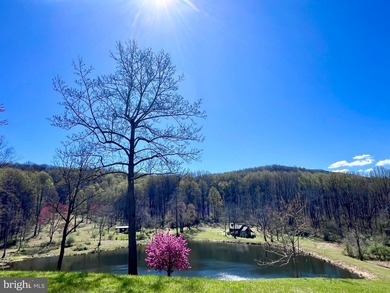 Almost 115 Acres in The Plains, Virginia A rare opportunity to - photo 17