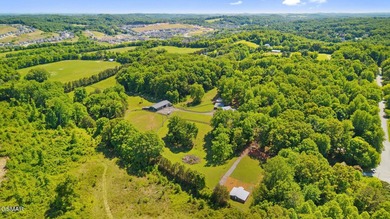 26.4 extraordinary acres with 20+ buildable acres in the heart - photo 9