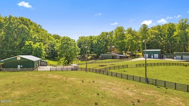 26.4 extraordinary acres with 20+ buildable acres in the heart - photo 10