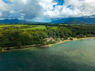 Perched above the pristine shoreline near the end of Anini, this - photo 22