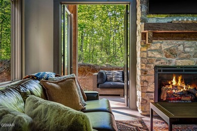 TOTAL LUXURY EXPERIENCE! Fully custom, turnkey cabin featuring 3 - photo 5