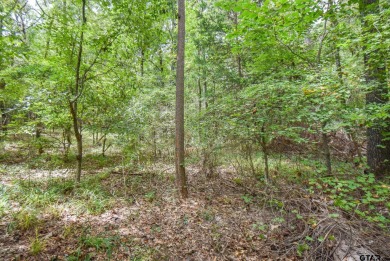 Lake Tyler Lot For Sale in Tyler Texas