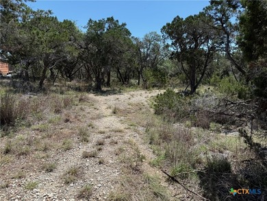 ENJOY THE BEAUTIFUL TEXAS HILL COUNTRY FROM THIS LEVEL, TREED - photo 3
