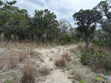 ENJOY THE BEAUTIFUL TEXAS HILL COUNTRY FROM THIS LEVEL, TREED - photo 4
