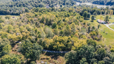 4.48+/- acres Across From Rough River Lake! - photo 12