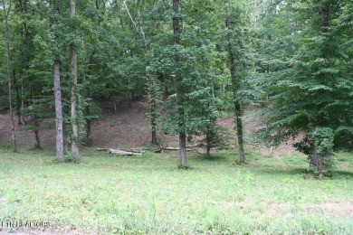 Lake Lot For Sale in Dandridge, Tennessee