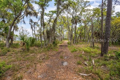 Discover an exceptional waterfront homesite on the Coosaw River - photo 11