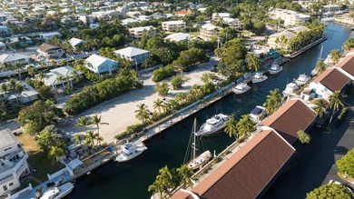 This property is on the Oceanside of Downtown Key Largo with 500 - photo 4