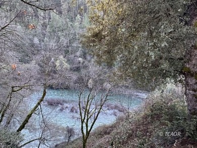 (private lake, pond, creek) Home For Sale in Salyer California