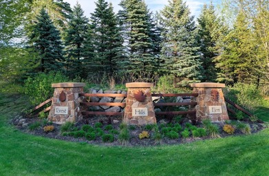 Welcome to an extraordinary custom-built two-story home in the - photo 17