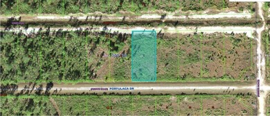 Lake Weohyakapka Lot For Sale in Indian Lake Estates Florida