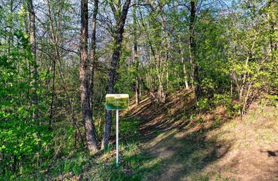 Welcome to an extraordinary custom-built two-story home in the - photo 24