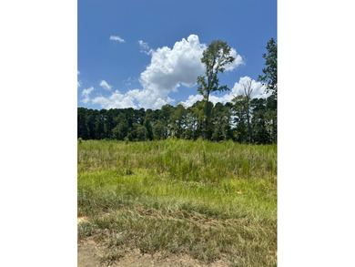 Build your dream home on these spacious lots and enjoy the - photo 1