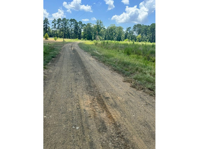 Build your dream home on these spacious lots and enjoy the - photo 4