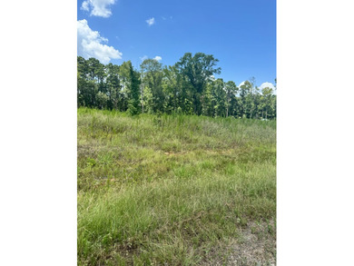 Build your dream home on these spacious lots and enjoy the - photo 6